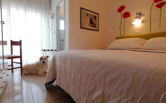 Kristalex Pet Friends Hotel