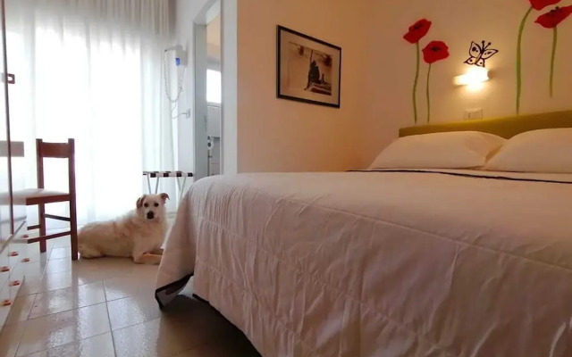 Kristalex Pet Family Hotel