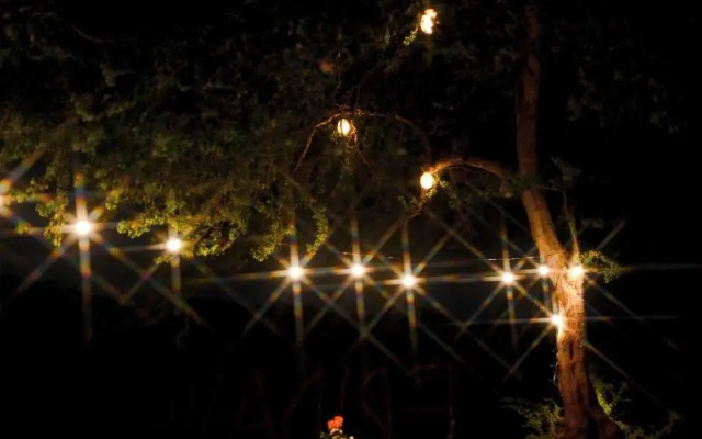 Fridays Puerto Galera