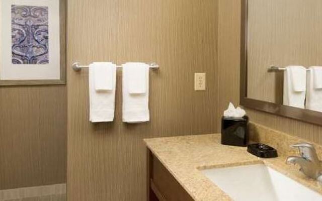 SpringHill Suites by Marriott San Antonio Alamo Plaza/Convention Center