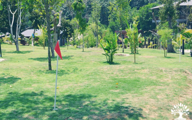 The Acacia Retreat