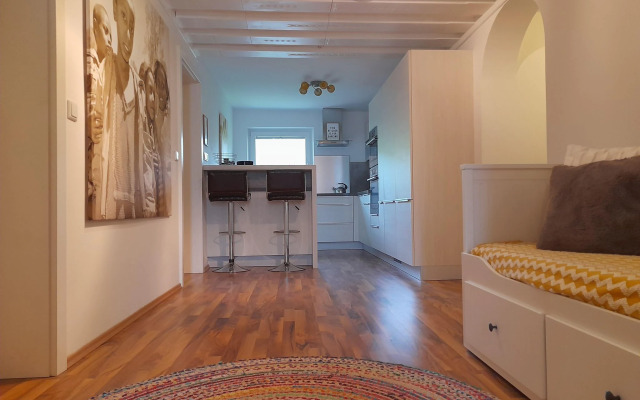Cosy Apartment in Dienten with mountain view