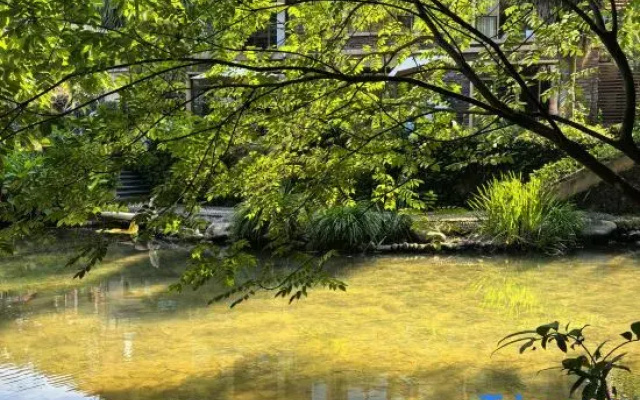 Yangxinggu Guesthouse