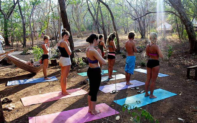 Dreamsea Surf Camp
