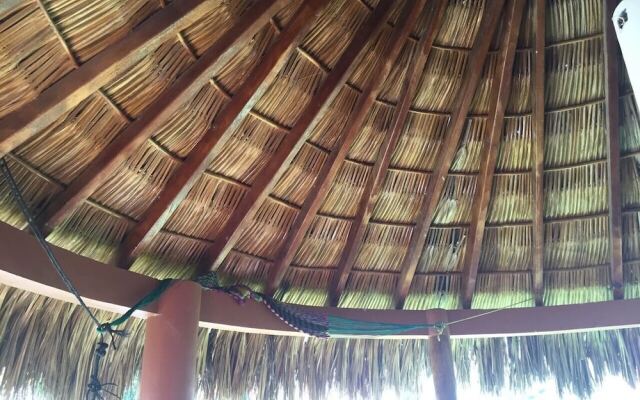 Nexpa Surf Cabanas Mar De Noche