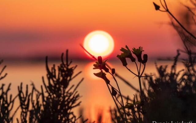 Formentera White Estudios