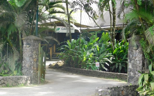 Colo I Suva Rainforest Eco Resort