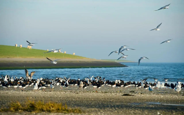 The Sunset Apartments