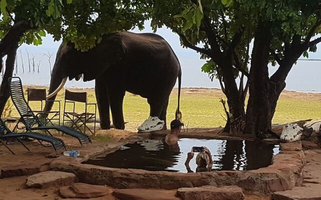 Rhino Safari Camp