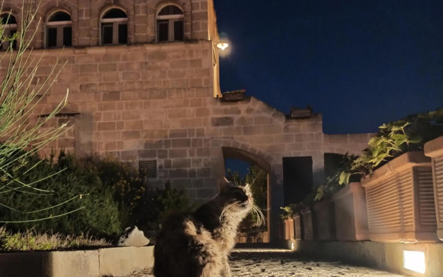 La Torretta Ai Sassi