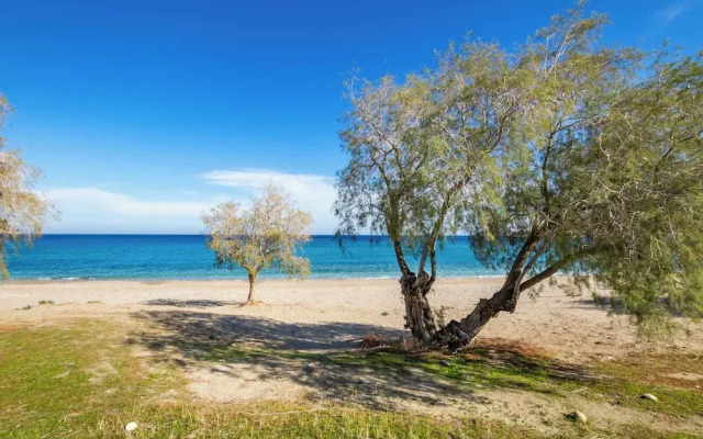 Sun Beach Apartments