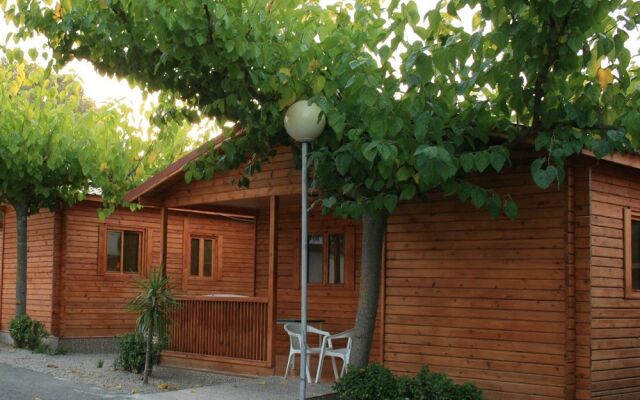 Camping Carlos III