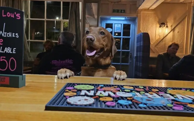 Dog and Partridge Inn