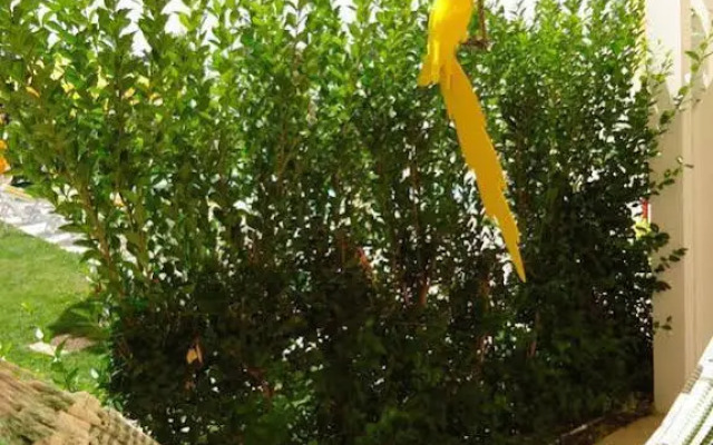 Quinta Da Rosa Linda