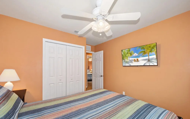 Sand Dollar on Miramar