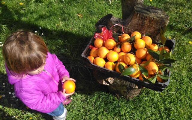 Agroturismo La Casona de Belmonte