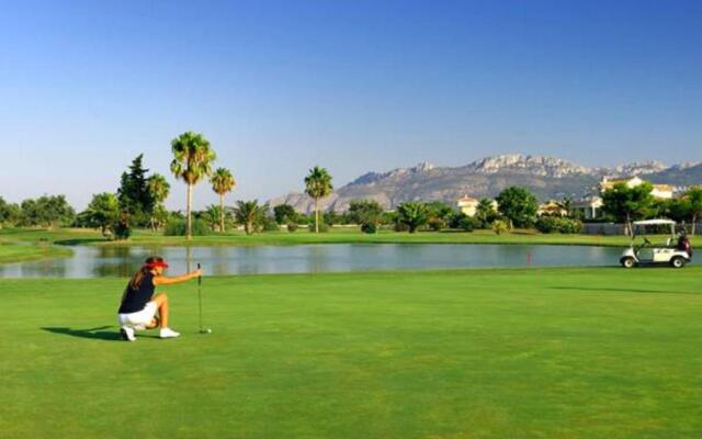 Oliva Holidays 4
