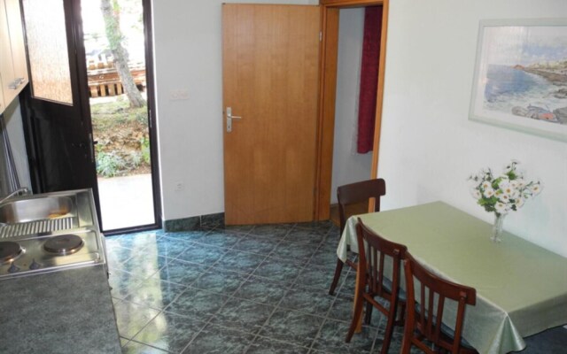 Apartment Dubravka 4 1 pax