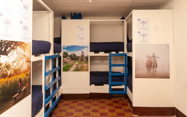 Camazotz Hostel