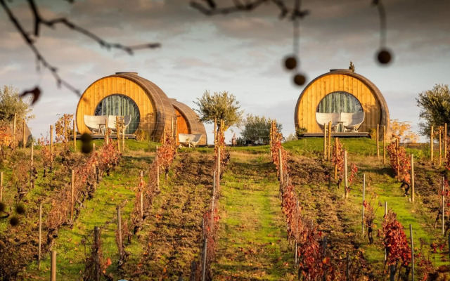 The Wine House Hotel - Quinta da Pacheca