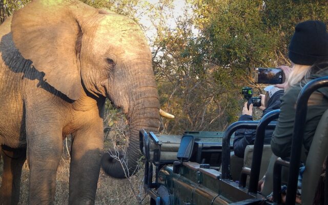 Vuyani River Lodge