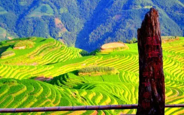 Long Ji Xing Yao Hotel