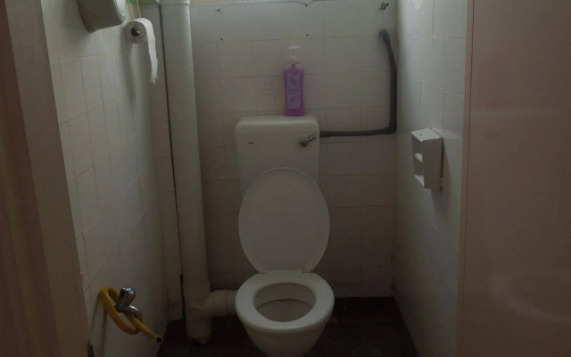 Lavender Guesthouse - Hostel