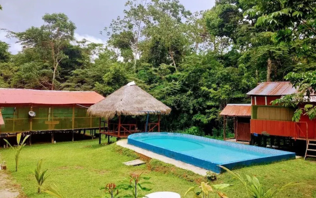 Amazon Queen Lodge