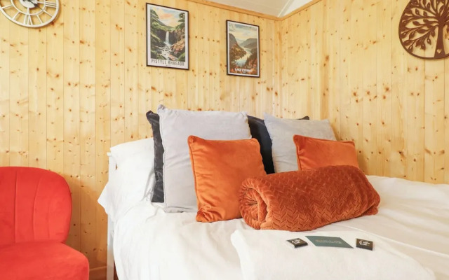 Red Kite at Wild Valley Huts