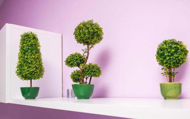 Beige and Purple - Two 1-BDR Apartments in Plovdiv