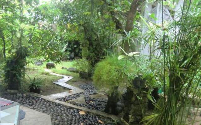 Shady Grove Healing Centre and Homestay