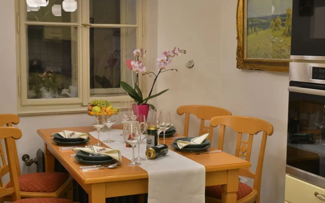 Luxurious Apartment Near River in Cezch Republic