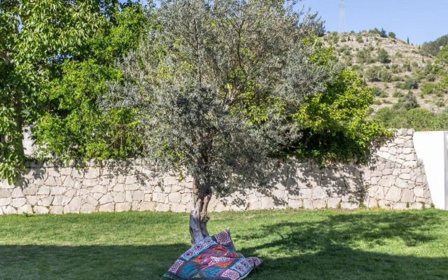 Villa Tipica "Arancelli 11"