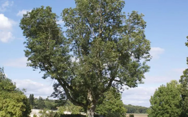 Chateau De Requiecourt