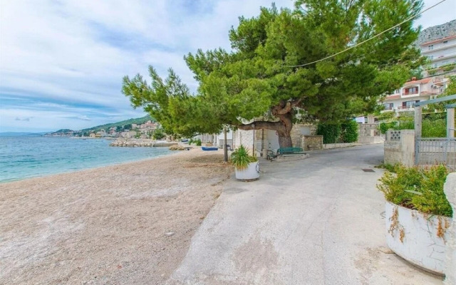 Neva - 50m From the sea - SA3