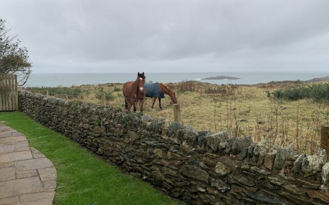 Llecyn Braf