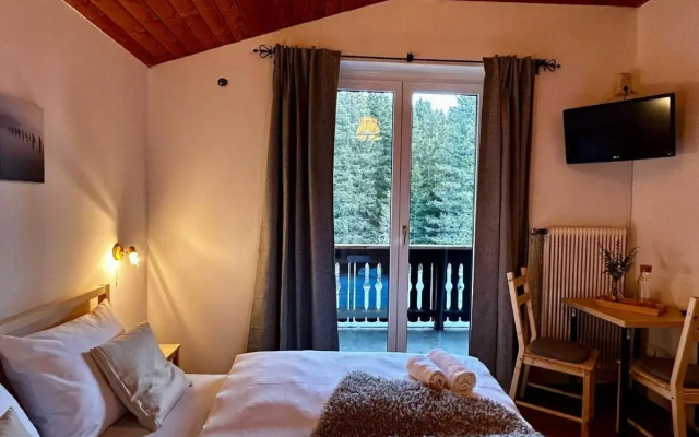 Edelweiss Lodge Lachtal I Ski & Mountain Vibes