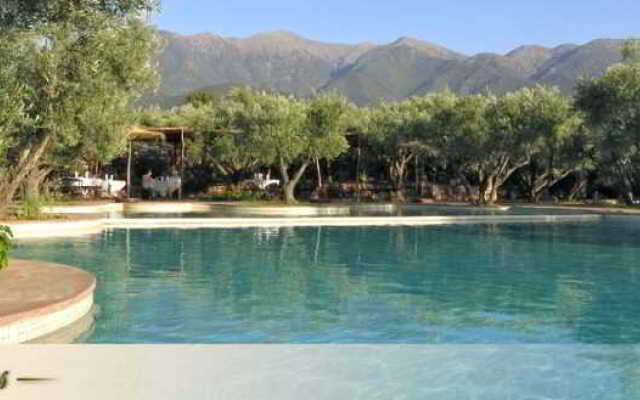 L'Oliveraie de Marigha