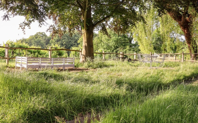 Oak Meadow