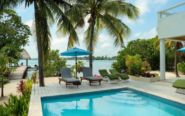 Villa Island Time Gecko