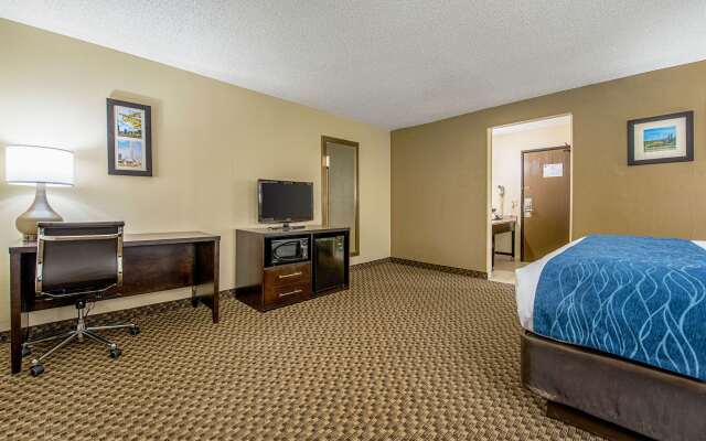 Comfort Inn Matteson - Chicago