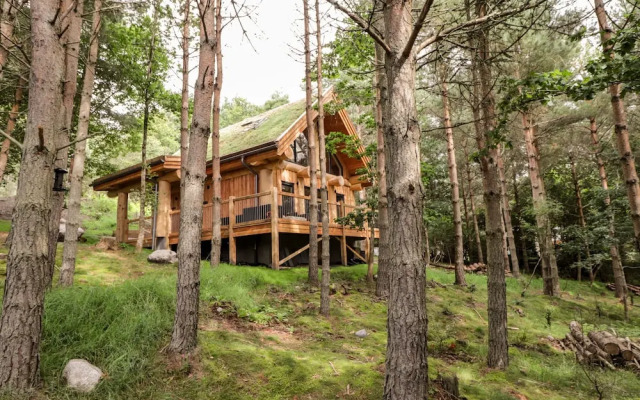 Pine Marten Lodge