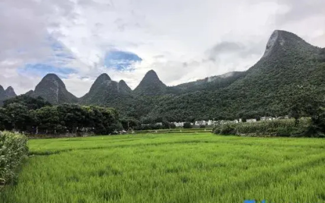 Xingyi Wanfeng Forest Traveler Home