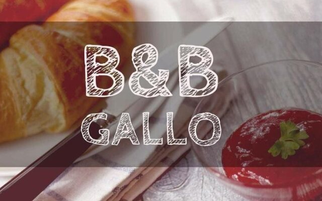 B&B Gallo