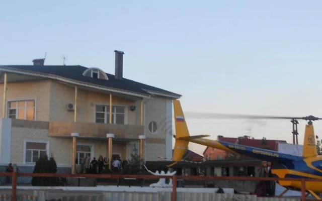 Королевский Дрозд — фото