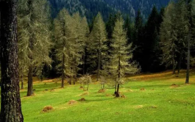 Residence Vis à Vis