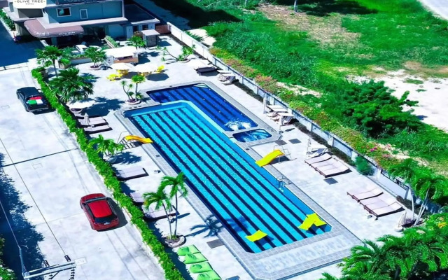 Olive Tree Hotel