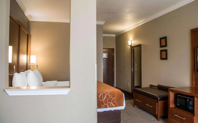 Comfort Suites - New Braunfels