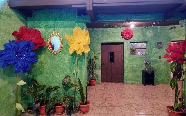 Wonderland Hostel