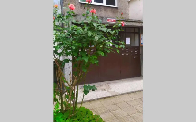 Lovely City Center 1BD, 1BT Apartment